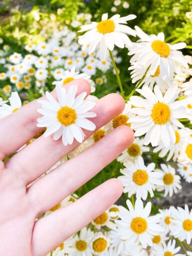 une main avec des fleurs