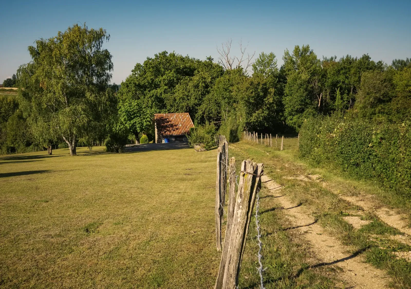 Rustic cabin nestled among trees with a dirt path